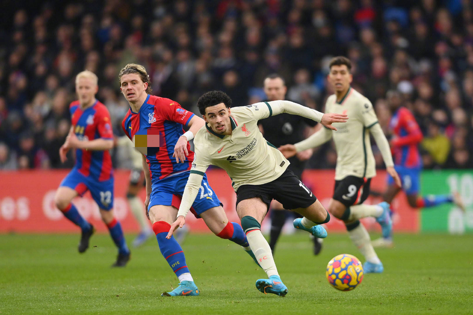 区内两次成 区内两次成